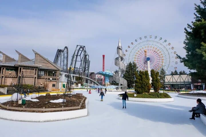 Mount Fuji Passes (optional) — photo 12