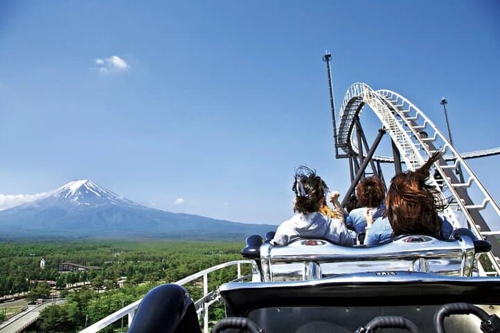 Mount Fuji Passes (optional) — photo 17