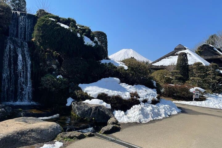 Customisable Mt.Fuji Private Day Trip, English Speaking Driver — photo 4