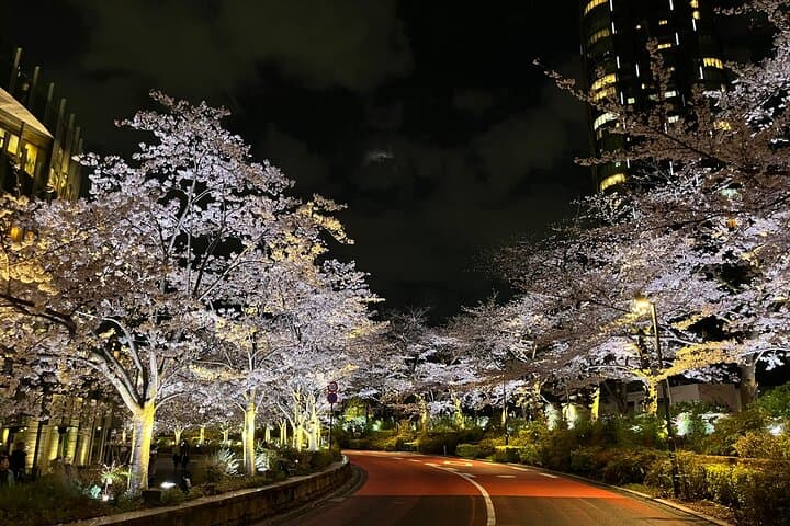 2-Hour Tokyo Night Bike Tour: Shibuya, City Lights & Tokyo Tower — photo 5