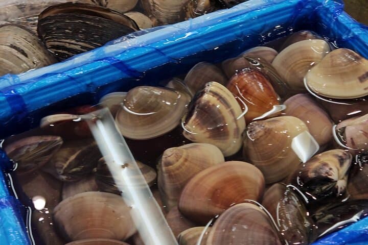 Behind the Scenes Toyosu Fish Market Tour & Luxury Sushi Lunch — photo 5