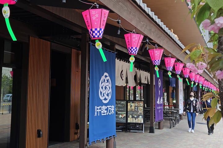 Behind the Scenes Toyosu Fish Market Tour & Luxury Sushi Lunch — photo 10