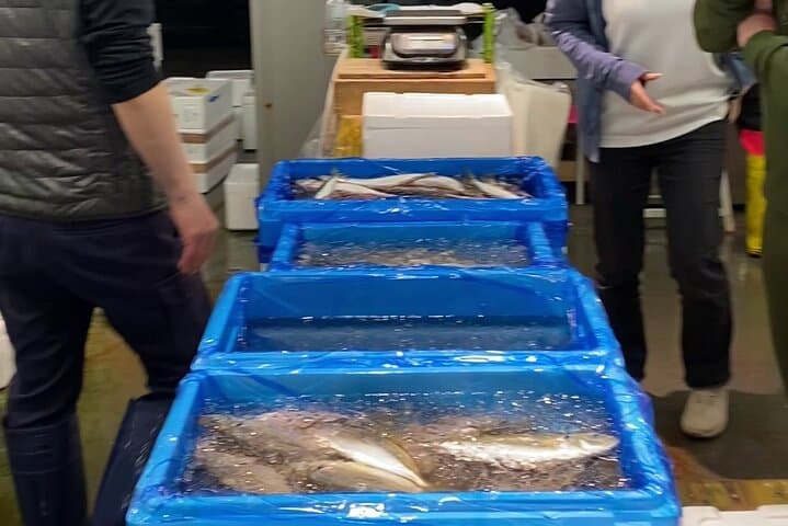 Behind the Scenes Toyosu Fish Market Tour & Luxury Sushi Lunch — photo 14