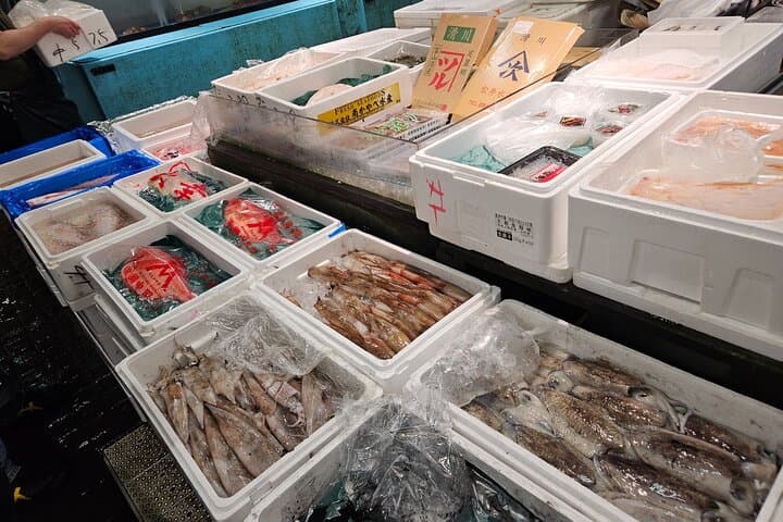 Behind the Scenes Toyosu Fish Market Tour & Luxury Sushi Lunch — photo 3