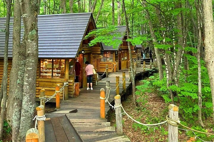Hokkaido, Asahikawa Zoo Classic Day Tour With Optional Snomobile — photo 3