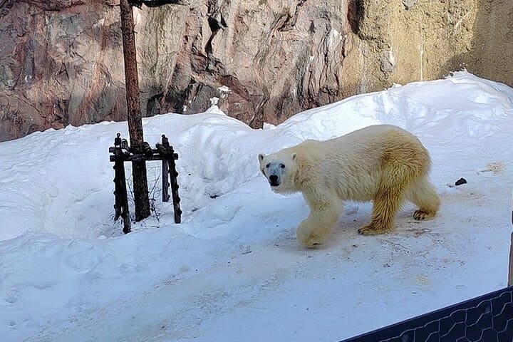Asahiyama Zoo, Biei tree, Shirohige Falls and Blue Pond Day Tour — photo 3