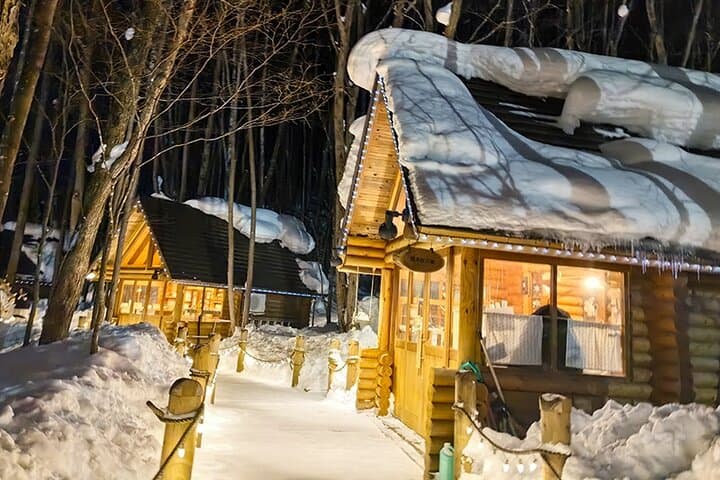 Asahiyama Zoo, Biei tree, Shirohige Falls and Blue Pond Day Tour — photo 5