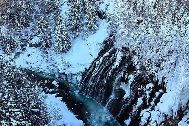 Asahiyama Zoo, Biei tree, Shirohige Falls and Blue Pond Day Tour — photo 7