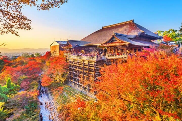 Kiyomizu Temple, Fushimi Inari Taisha: Kyoto & Nara Park Day Tour — photo 2