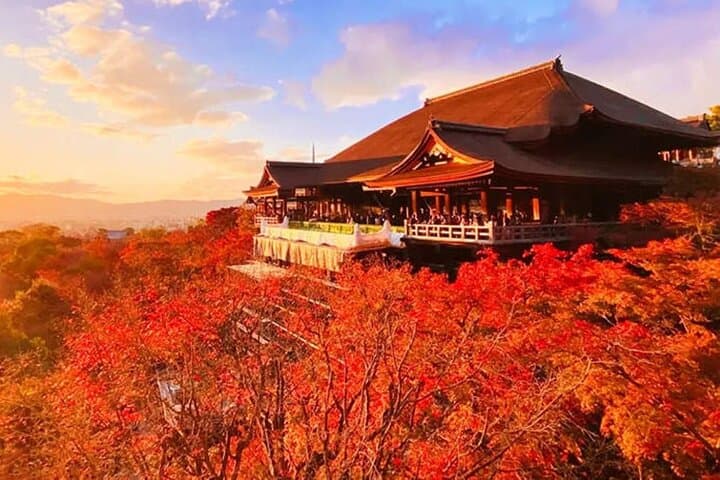 Kiyomizu Temple, Fushimi Inari Taisha: Kyoto & Nara Park Day Tour — photo 3