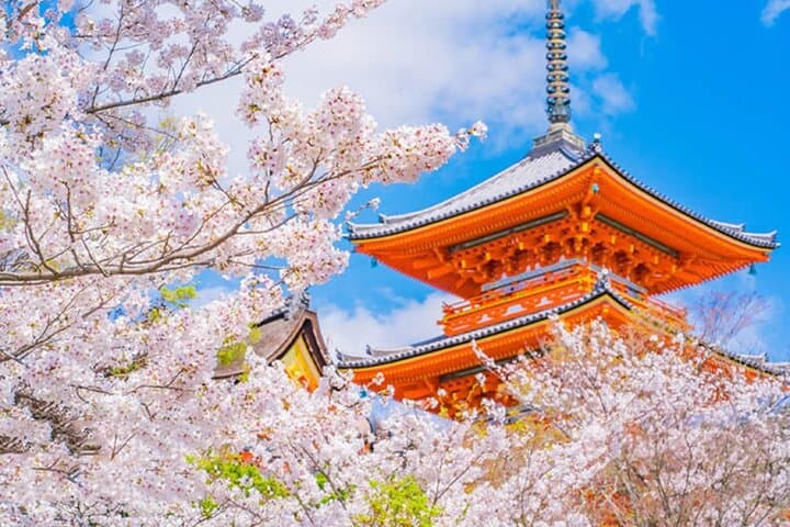 Kiyomizu Temple, Fushimi Inari Taisha: Kyoto & Nara Park Day Tour — photo 5