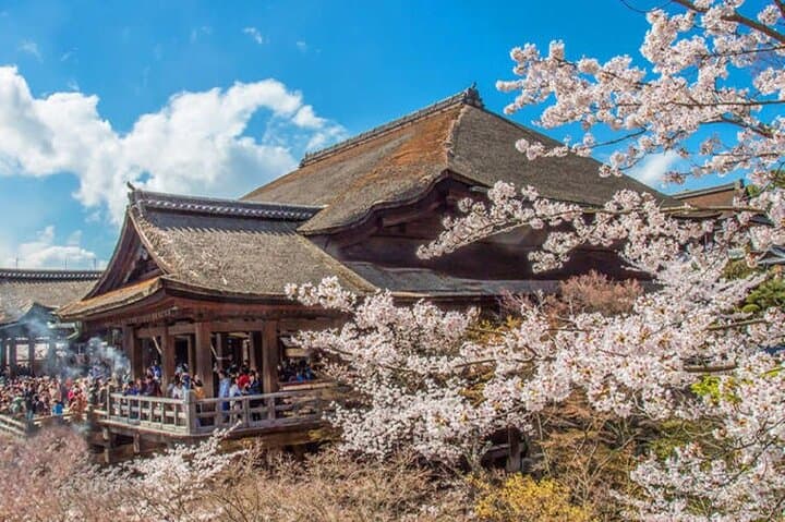 Kiyomizu Temple, Fushimi Inari Taisha: Kyoto & Nara Park Day Tour — photo 6