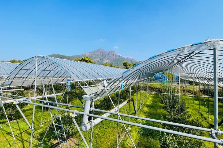 Sakurajima Century Lava Climb Journey with E-bike — photo 4