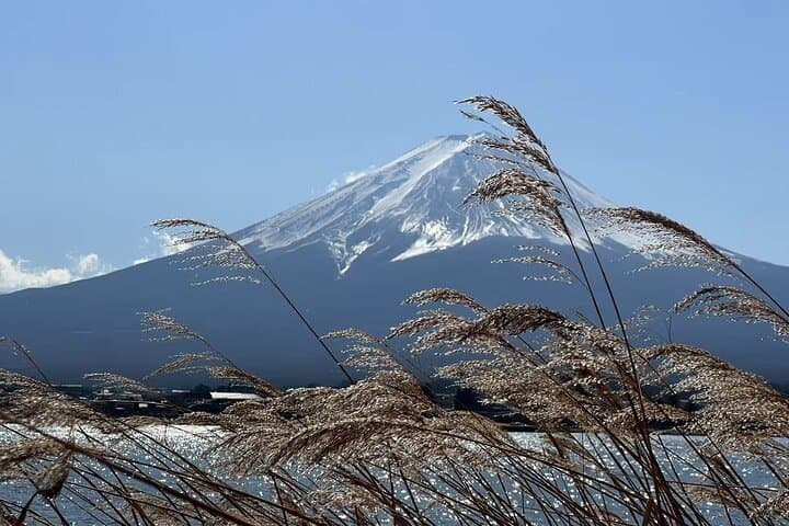 Relaxing Fuji Lakeside Escape: Kawaguchiko & Yamanakako — photo 16