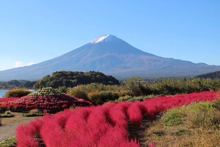 Relaxing Fuji Lakeside Escape: Kawaguchiko & Yamanakako — photo 17