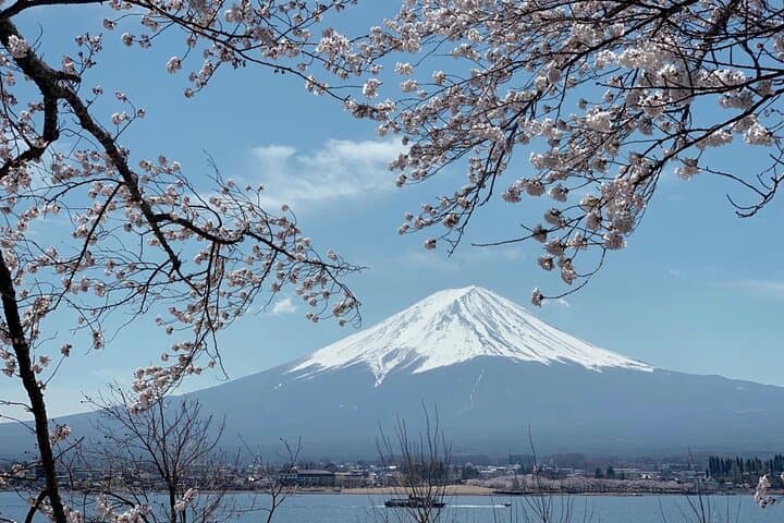Relaxing Fuji Lakeside Escape: Kawaguchiko & Yamanakako — photo 11
