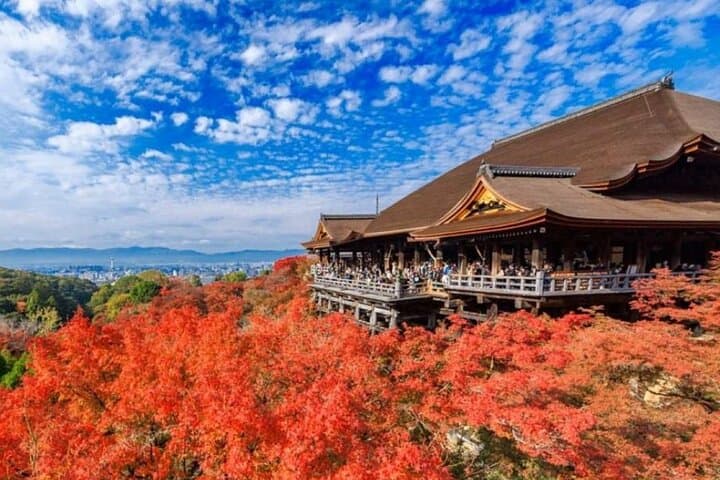 Kyoto & Uji Day Tour: Golden Pavilion, Kiyomizu & Matcha Street — photo 4