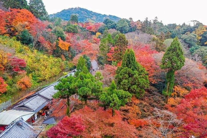 Kyoto & Uji Day Tour: Golden Pavilion, Kiyomizu & Matcha Street — photo 5
