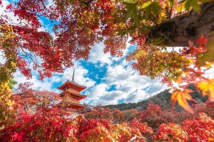Kyoto & Uji Day Tour: Golden Pavilion, Kiyomizu & Matcha Street — photo 6