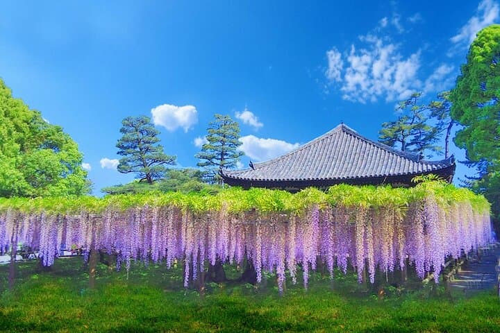 Kyoto & Uji Day Tour: Golden Pavilion, Kiyomizu & Matcha Street — photo 13