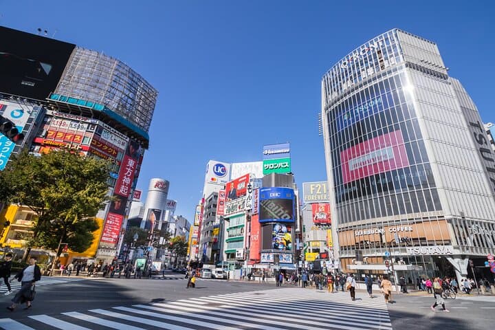 Tokyo Top 7 Sights Private Tour with Licensed Guide and Vehicle — photo 1