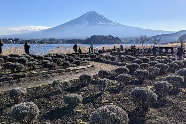 Tokyo To Mount Fuji Private English Guided Day Tour — photo 16