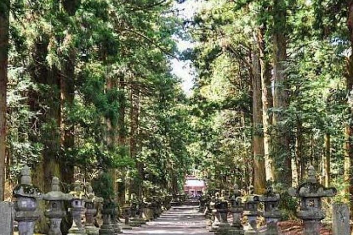 Tokyo To Mount Fuji Private English Guided Day Tour — photo 17