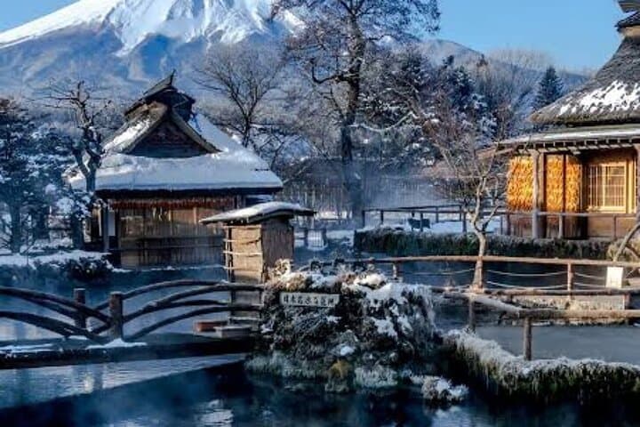 Tokyo To Mount Fuji Private English Guided Day Tour — photo 19