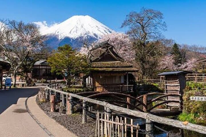 Tokyo To Mount Fuji Private English Guided Day Tour — photo 20