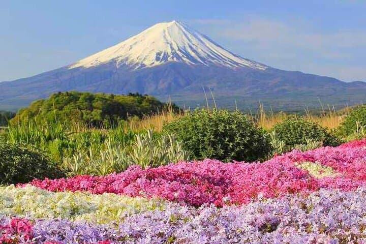 Full Day Mount Fuji and Hakone Tour from Tokyo — photo 10