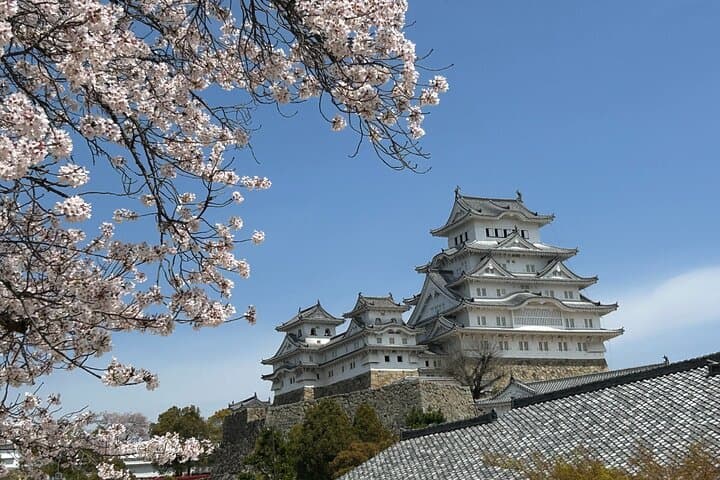 Kobe-Himeji Customize Tour with Pickup and Drop Off — photo 4