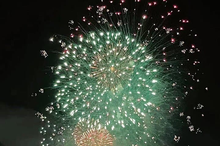 Tokyo SumidaRiver Fireworks Festival Cruise& Dinner& Show& Drinks — photo 8