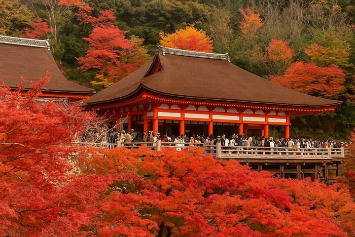Kyoto Highlights Eastern Western Northern and Southern Routes — photo 11