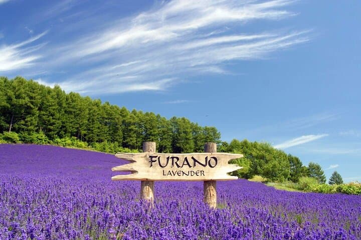 Hokkaido Scenic Day Tour: Zoo, Blue Pond, Iconic Trees & Terrace — photo 4