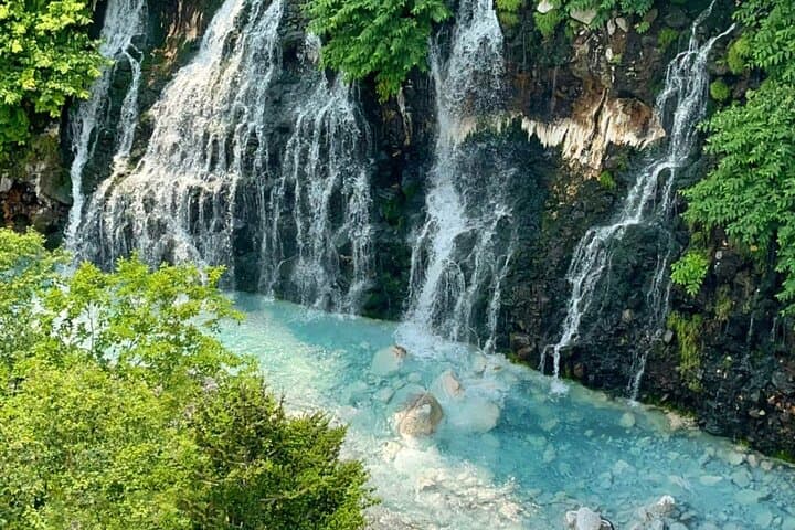 Hokkaido Scenic Day Tour: Zoo, Blue Pond, Iconic Trees & Terrace — photo 7