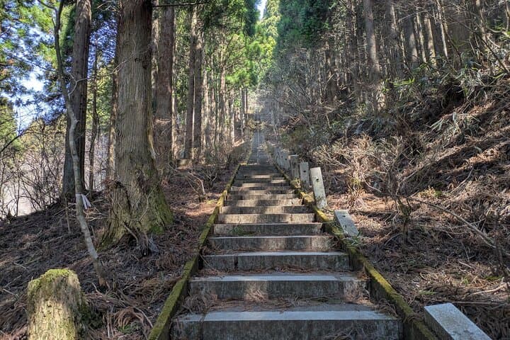 Lake Kawaguchi Private Hiking Tour with English Speaking guide — photo 8