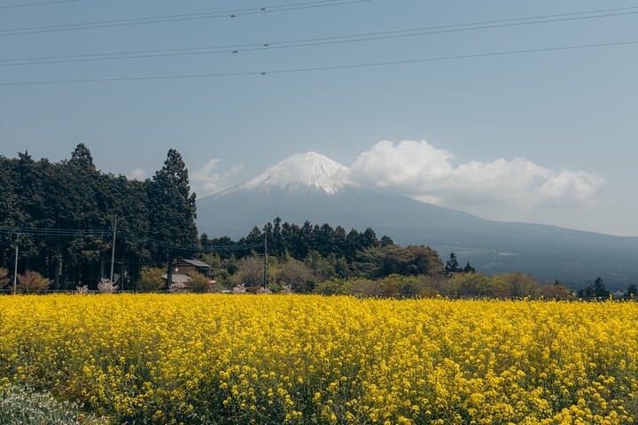 Inaka Excursions | Escape from Tokyo! — photo 5