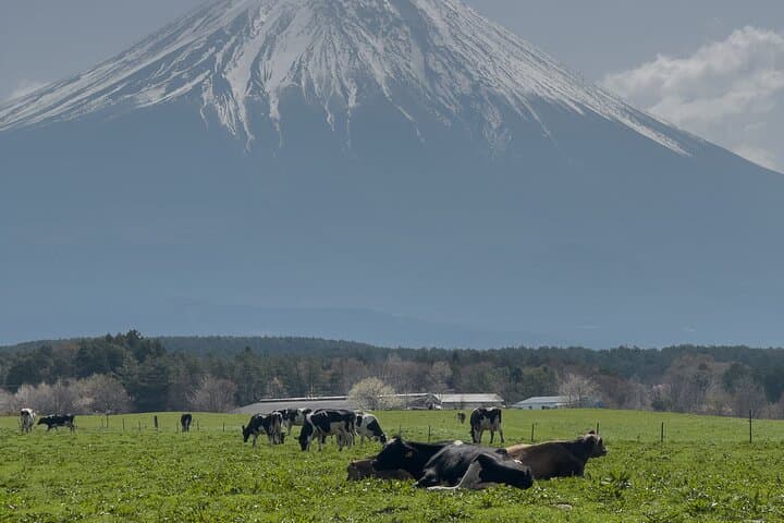 Inaka Excursions | Escape from Tokyo! — photo 6