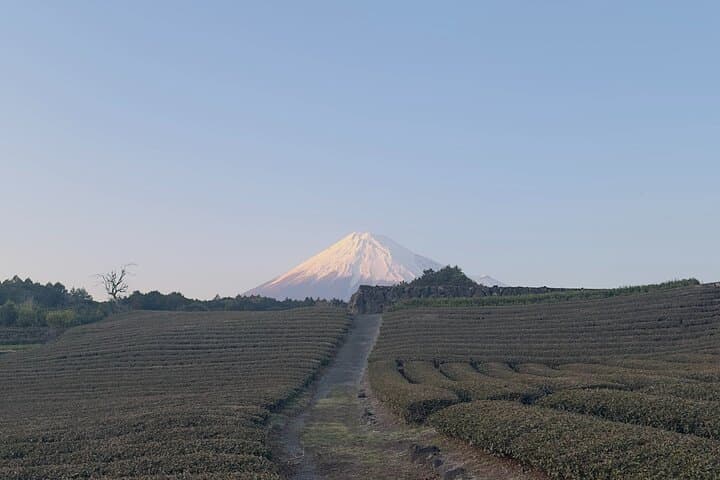 Inaka Excursions | Escape from Tokyo! — photo 7