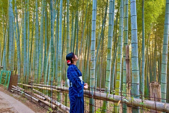 Private Kyoto Morning Tour: Fushimi Inari, Arashiyama & Monkey — photo 11