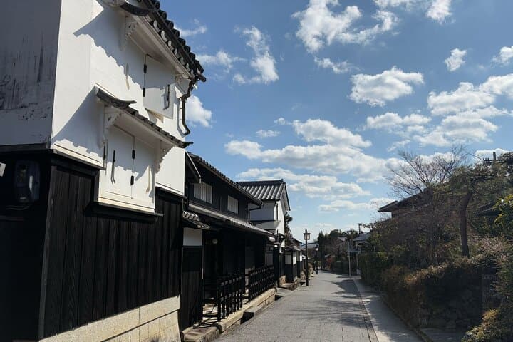 Kyoto Arashiyama Tour: Iconic Sights and Hidden Treasures — photo 15