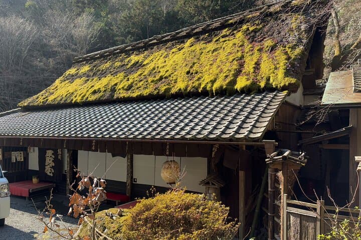 Kyoto Arashiyama Tour: Iconic Sights and Hidden Treasures — photo 14