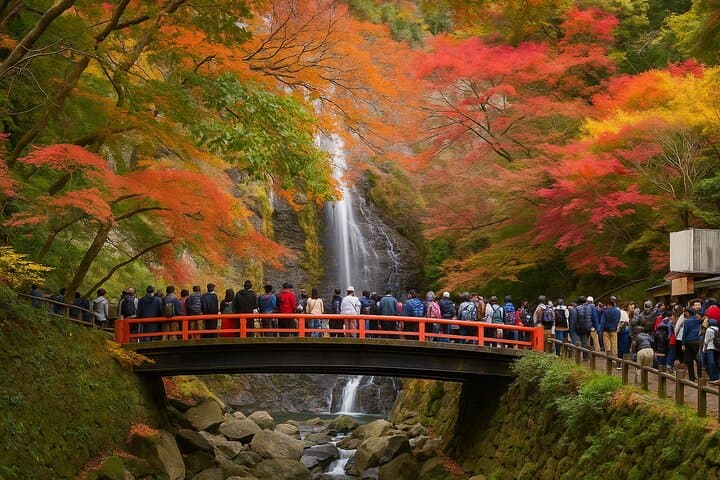 Kansai Region Hiking Adventure in Nara Kobe Kyoto and More — photo 8