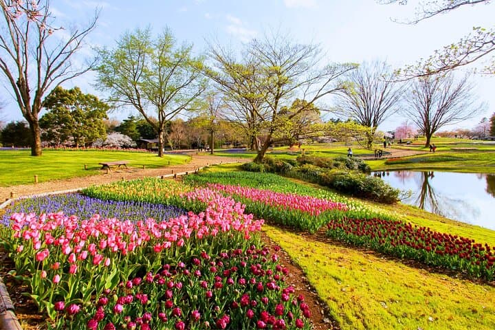 Tokyo Day Trip Showa Kinen Park Seasonal Flowers and Nature Walk — photo 1