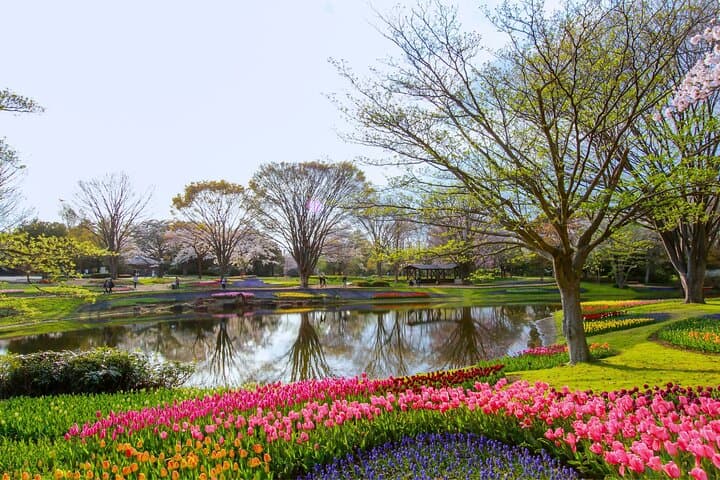 Tokyo Day Trip Showa Kinen Park Seasonal Flowers and Nature Walk — photo 2