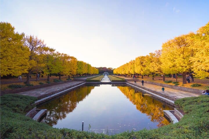 Tokyo Day Trip Showa Kinen Park Seasonal Flowers and Nature Walk — photo 3