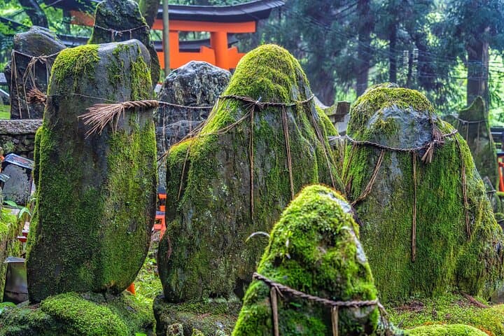 Kyoto Fushimi Inari Taisha Walking Tour with Audioguide — photo 15