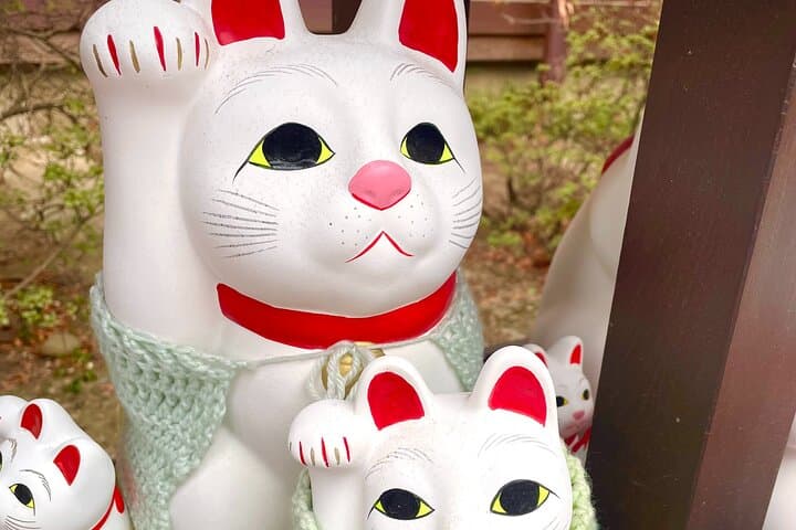 Tokyo: Gotokuji Lucky Cat Temple, Shinjuku Cat Cafe, 3D Giant Cat — photo 20