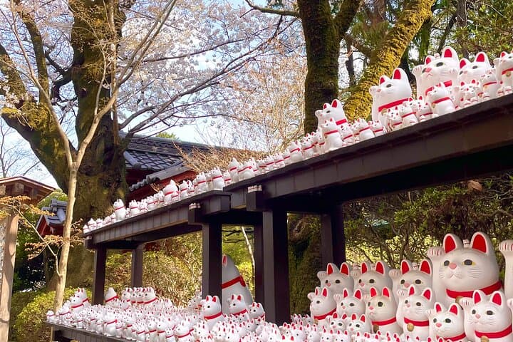 Tokyo: Gotokuji Lucky Cat Temple, Shinjuku Cat Cafe, 3D Giant Cat — photo 17