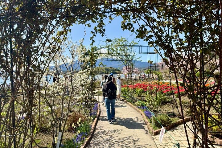 From Tokyo: Mount Fuji Private Trip with English Speaking Driver — photo 15